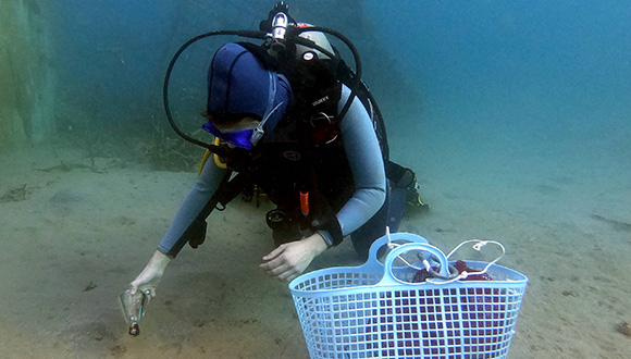 גל ורד במהלך עבודת המחקר שלה במפרץ אילת (באדיבות טל גורדון)