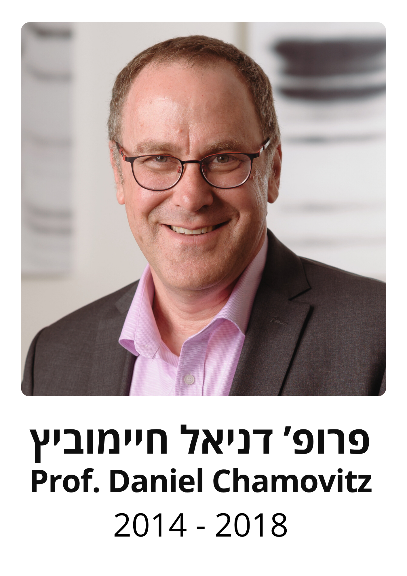 פרופ' דניאל חיימוביץ 