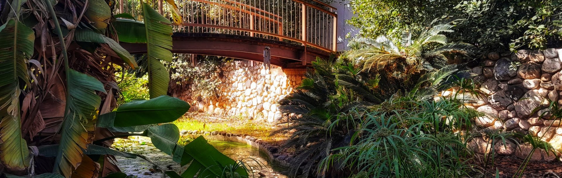 הגן הבוטני סגור כעת למבקרים, בשל המצב הבטחוני