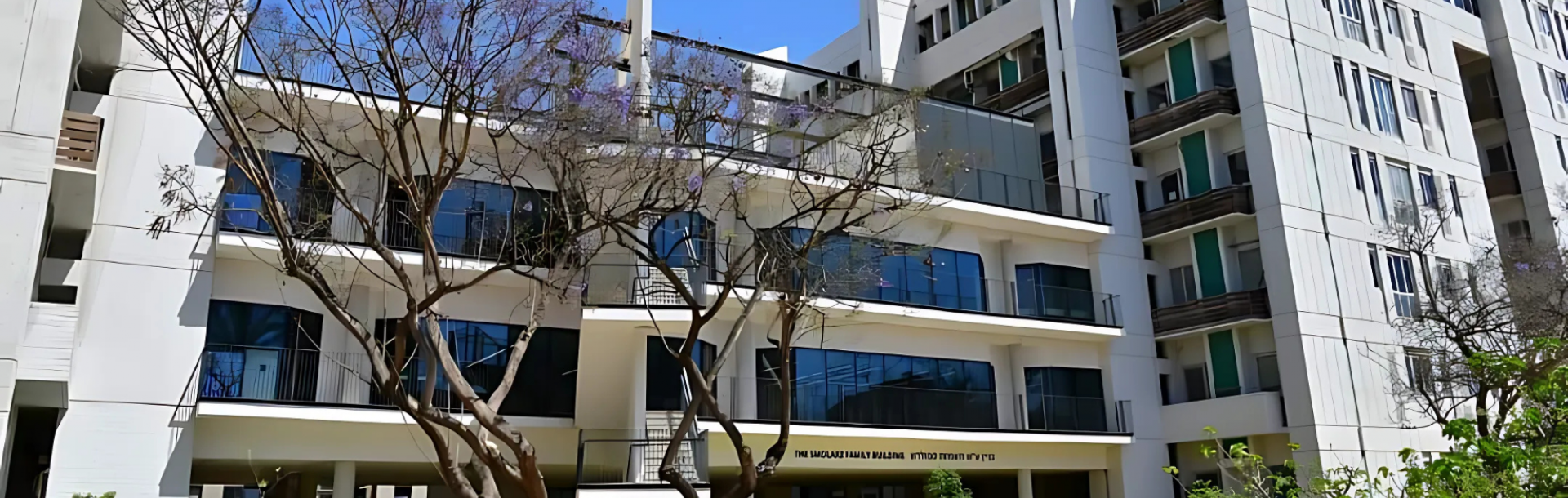 מבצע 'שאגת הארי' - כל העדכונים האחרונים 