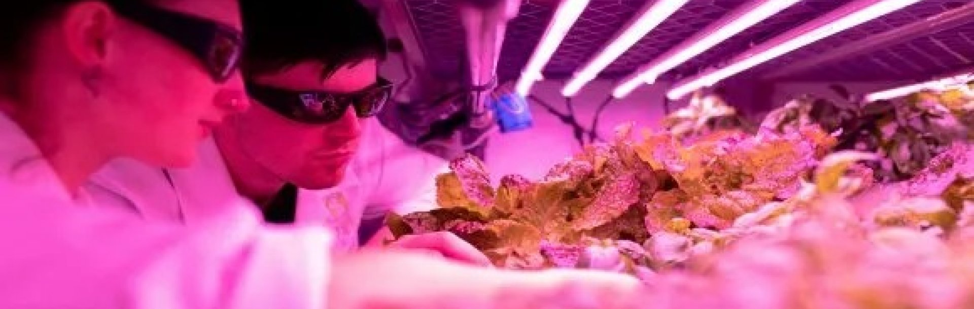 המדרשה לתארים מתקדמים - כל מה שרציתם.ן לדעת 