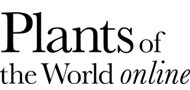 Plants of the World Online - Kew