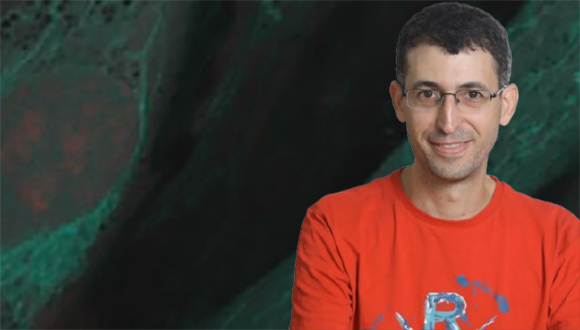 כיצד וירוסים מחקים את החלבונים האנושיים כדי להשתלט על התאים שלנו