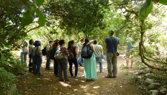 סיור מיוחד לט"ו בשבט בגנים הבוטניים סיור מיוחד לט"ו בשבט בגנים הבוטניים