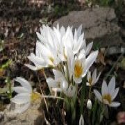 הצטרפו למסע מרתק אל מאחורי הקלעים של הגן הבוטני!