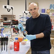 חשמל בגוף: ננו-חלקיקים בעלי מטען חשמלי יכולים להוביל תרופות לאיברים ספציפיים