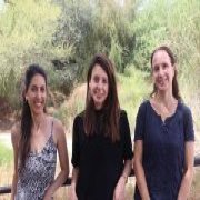 חשיפה לחלקיקי פלסטיק פוגעת בנביטה של צמחי חוף